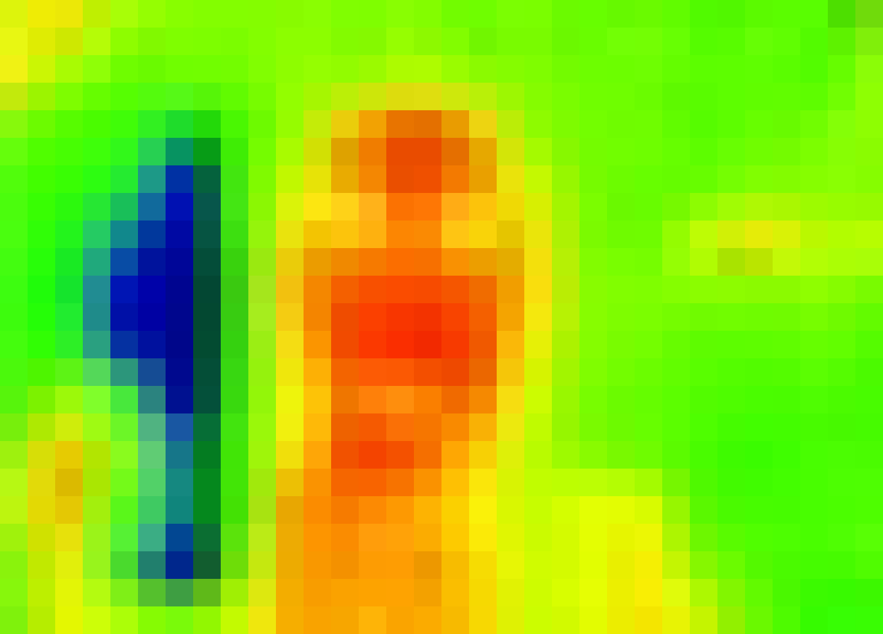 thermal image of my face